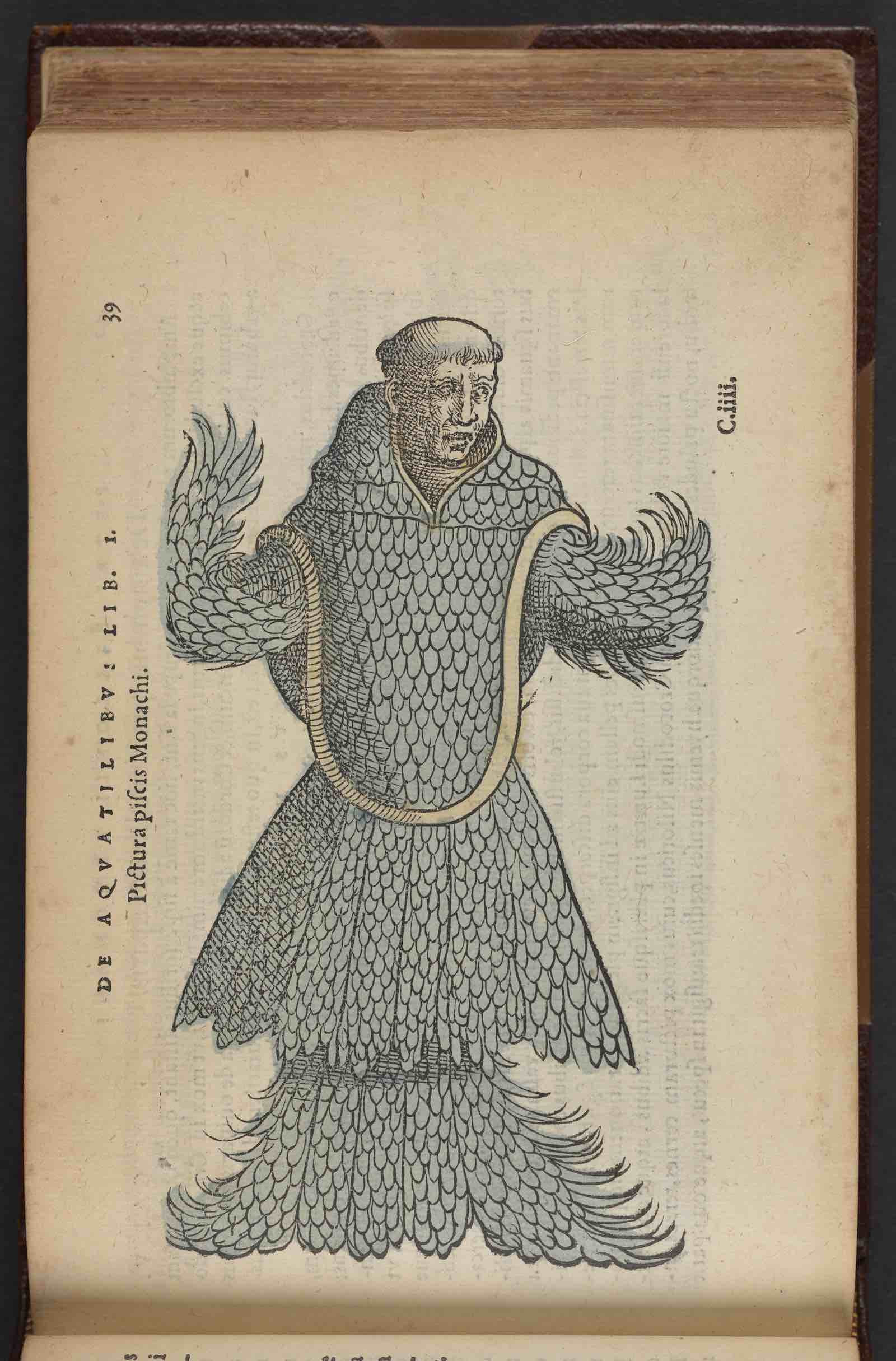 An early depiction of a 'monkfish' by Pierre Belon in his De aquatilibus (Of aquatic species), Paris, 1553