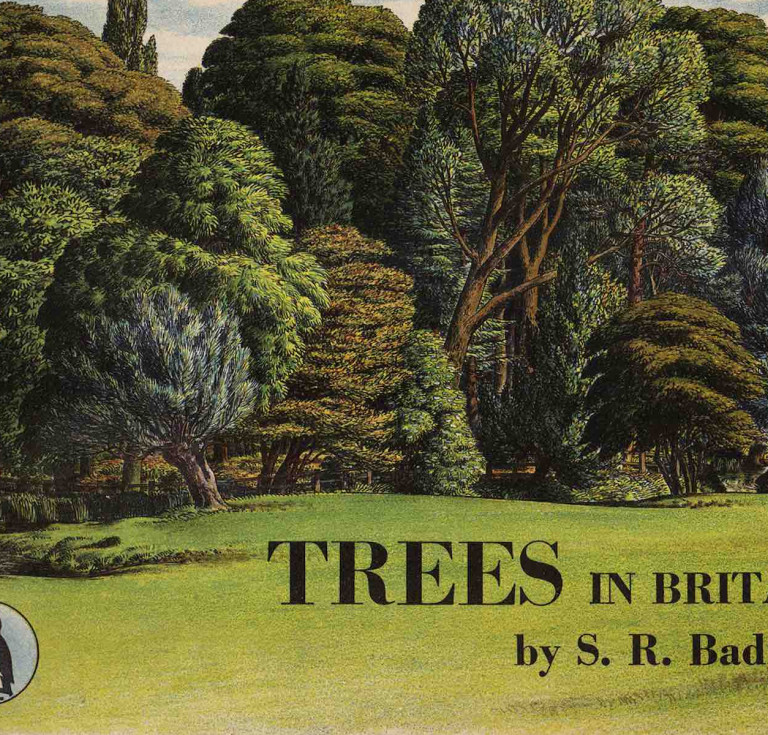  Puffin Picture Book 31 Trees in Britain, 1943 by Stanley Badmin. 